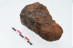 Foto von Eisenamboß (NHMW-PRAE-024554)